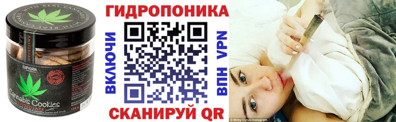 Купить Окуловка Canna-Cookies конопля